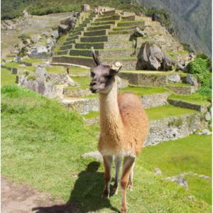 Foto de Raúl Espinoza